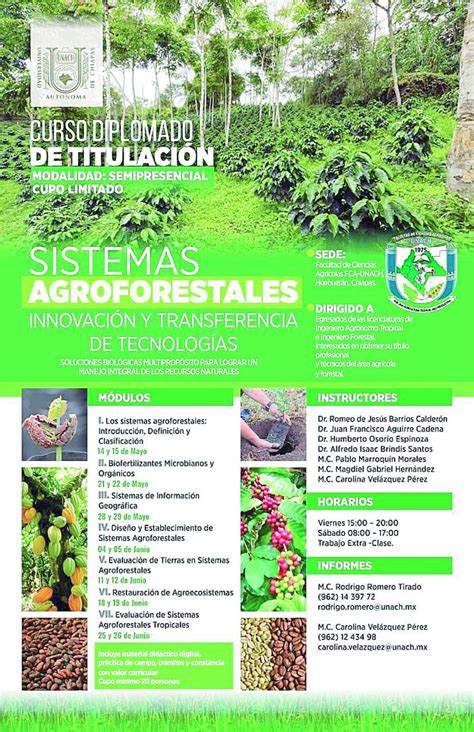 Ofertan Curso Diplomado De Titulación Sistemas Agroforestales