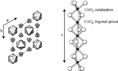 Three Diffraction Peaks And Of The Ca Co O