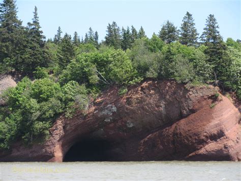 Bay Of Fundy Sea Caves Tour Review