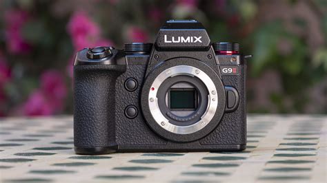 Panasonic Lumix G9 Ii Review A Superb Wildlife Camera Techradar