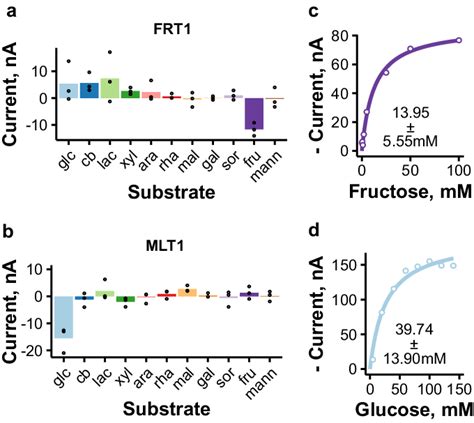 Electrophysiological Characterization Of Hexose Transporters Frt And