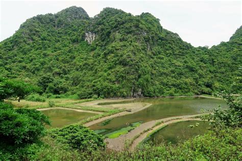 Cát Bà National Park Hike - Viet Hai & Frog Pond