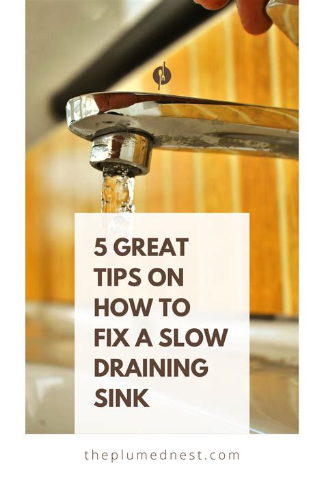 Natural Way To Fix Slow Draining Sink At Salvador Mcfarlane Blog