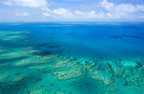 Great Barrier Reef Tipps F R Ihren Besuch