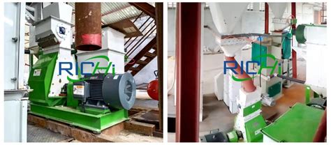 Grass Pellet Mill Richi Machinery