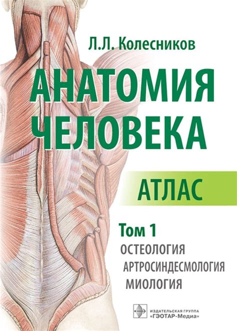 Анатомия человека. Атлас в 3-х томах. Том 1. Остеология ...