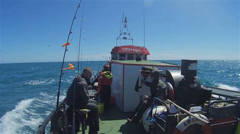 Whitby Cod Fishing On Chieftain Boat 6 Youtube