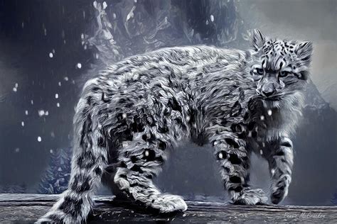 Snow Leopard Digital Art by Pennie McCracken - Fine Art America