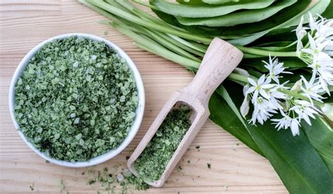 Bärlauchsalz selber machen Einfaches Rezept Leni Hans