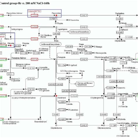 Flavonoid Biosynthesis Pathway Annotated With Degs And Differential