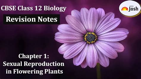 Cbse Class 12 Biology Sexual Reproduction In Flowering Plants Revision