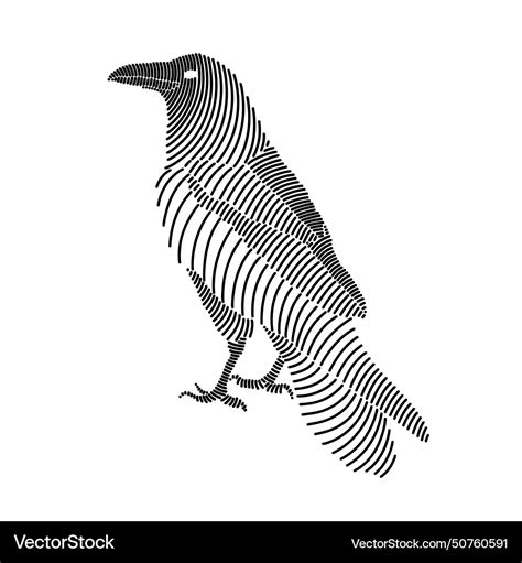 Simple line art of a crow 3 Royalty Free Vector Image