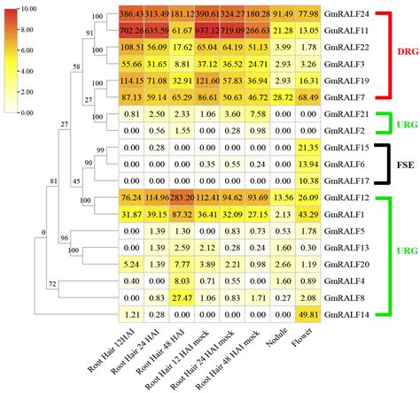 Ijms Free Full Text Genome Wide Identification And Comparative