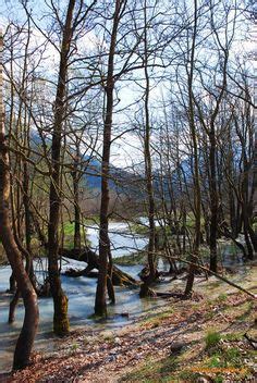 Cobungra River Victoria | Country house, Nature, River