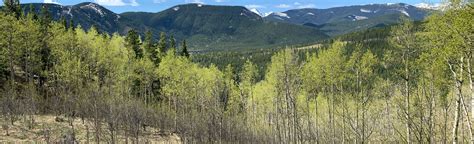 Sulphur Springs Trail, Alberta, Canada - 50 Reviews, Map | AllTrails