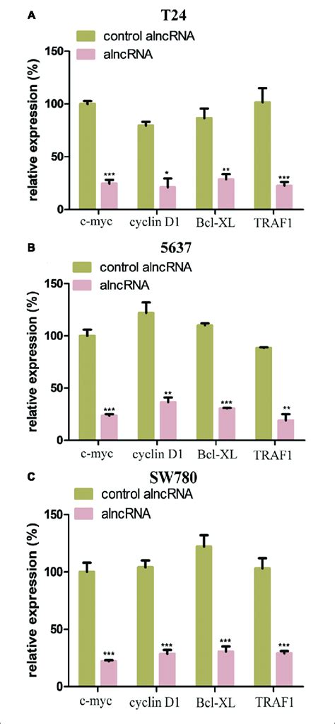 The Alncrna Effectively Inhibited The Downstream Oncogenic Signals