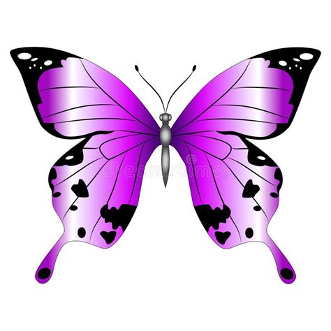 Bright Beautiful Purple Butterfly Vector Illustration Isolated Stock Vector Illustration Of