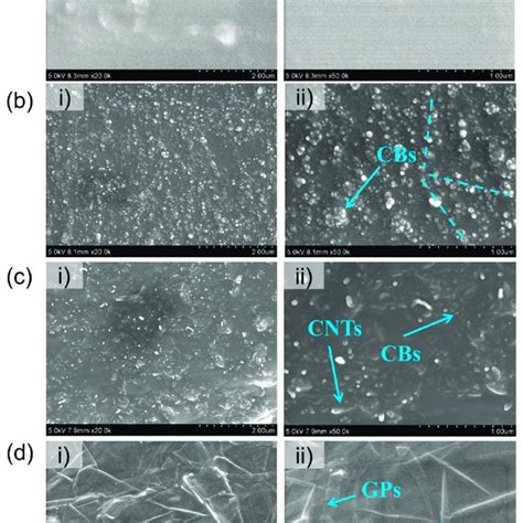 A Sem Micrographs Of Rtv Films Of 20 000× I And 50 000× Ii Download Scientific Diagram