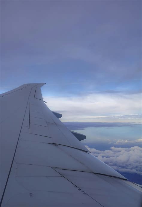 plane wing      plane wing stock  hd