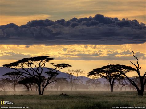 Serengeti, Tanzania | Scenery, Places to see, Beautiful places in the world