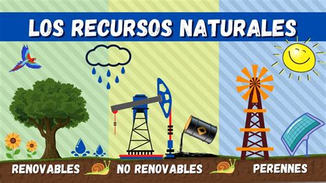 Uso Sustentable De Los Recursos Naturales Ejemplos Un Guide Pratique Jacques