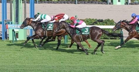 【2024 京成杯ah（g3）】日刊馬番コンピ指数分析予想篇｜haya