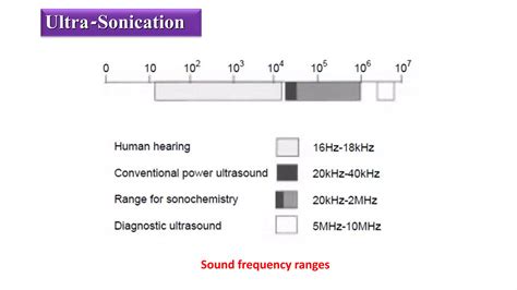 Probe Sonicator PPT