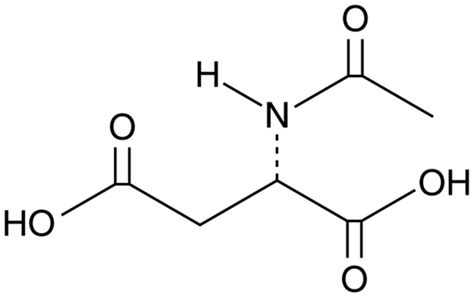 N Acetyl DL Aspartic Acid CAS 997 55 7 Cayman Chemical Biomol