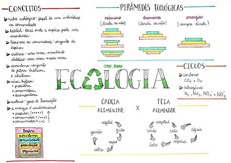 Mapa Mental De Ecologia Tienes Que Saber Esto Images The Best Porn