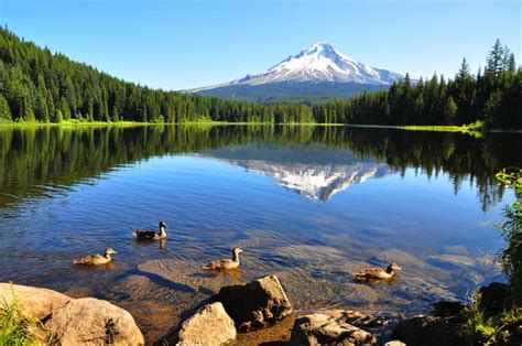 19 Most Beautiful Places To Visit In Oregon The Crazy Tourist