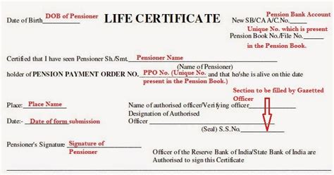 How To Fill Pensioners Life Certificate Form For Retired Senior