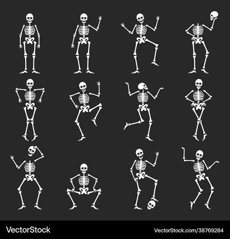 Set funny halloween skeleton flat Royalty Free Vector Image