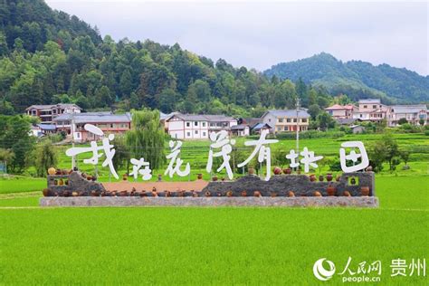 遵义播州：“四好农村路”成为百姓增收致富路农村公路四好致富路新浪新闻