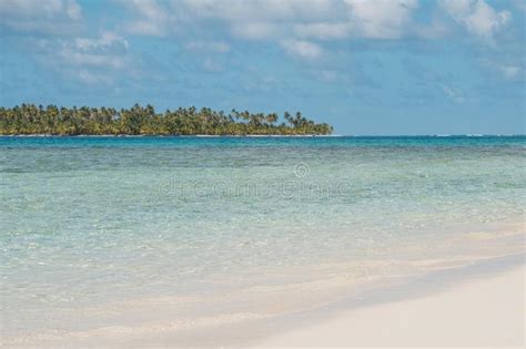 Playa Blanca De La Arena Con La Isla Tropical De La Palmera Foto De