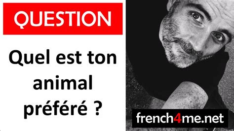 French Q A Quel est ton animal préféré YouTube