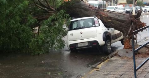 G1 Ventania derruba árvore sobre carro estacionado em Itapetininga