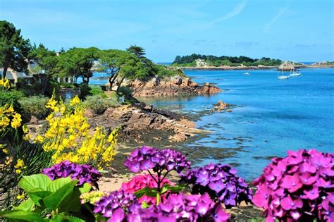 Baie De Saintbrieuc Et Paimpol Explorer Avec Un Guide Conf Rencier