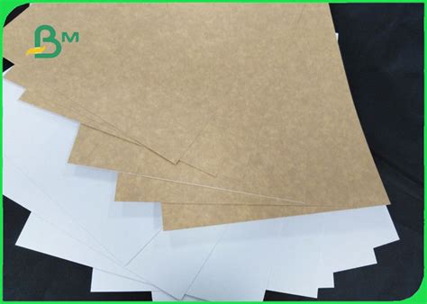 Food Grade Gsm Pe S Clay Coated Kraft Board For Frozen Products