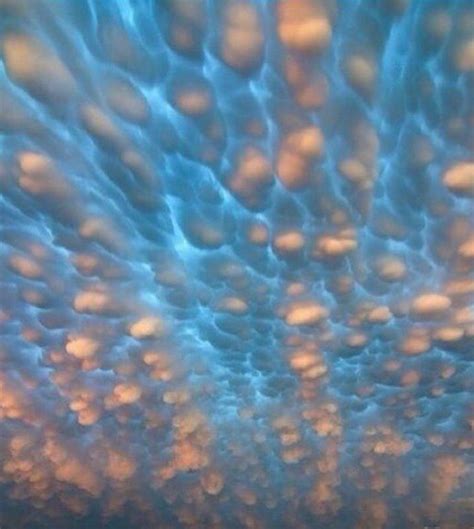 Cotton Ball Clouds : r/woahdude