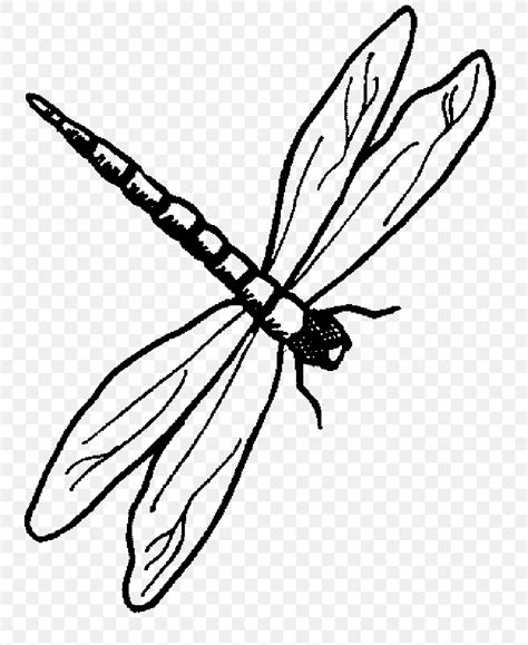 Dragonfly Drawing Animal Clip Art, PNG, 775x1003px, Dragonfly, Animal ...