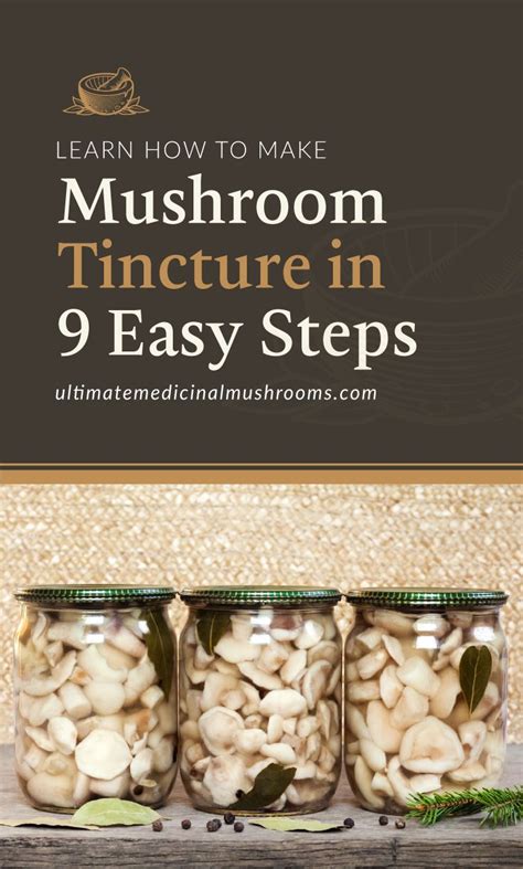 Learn How To Make Mushroom Tincture In Easy Steps Artofit