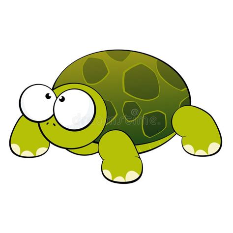 Cute Turtle Vector Illustration Stock Vector Illustration Of Shell