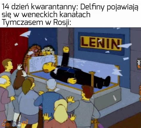 Jesteśmy zgubieni Jeja pl