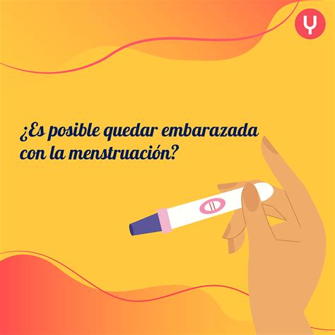 Es Posible Quedar Embarazada Con La Menstruaci N