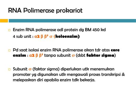 Enzim Polimerase Brain