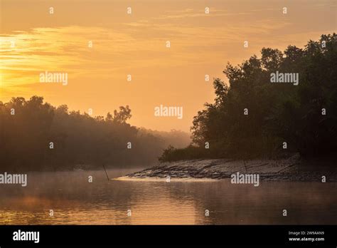 Colorful Dawn Landscape View Of Mangrove In Sundarbans National Park A