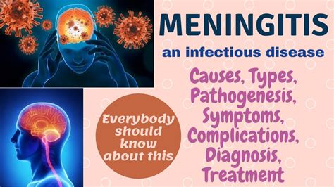 Meningitis Disease Causes Types Pathogenesis Symptomscomplicationsdiagnosistreatment