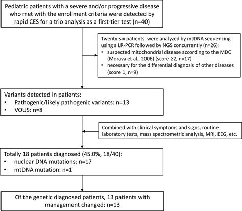 Frontiers Clinical Utility Of Rapid Exome Sequencing Combined With