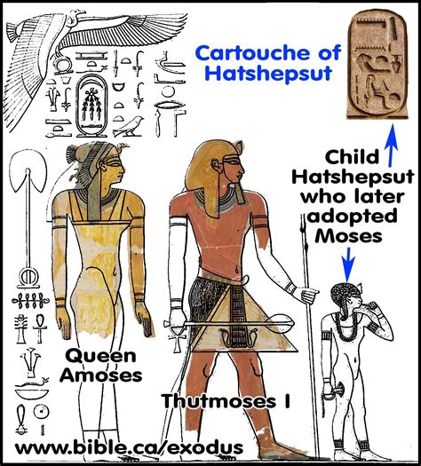 Pharaoh who killed Hebrew children: Amunhotep I: 1532-1511 BC Pharaoh's ...