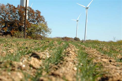 Right Of Way Seedinghydroseedingreed Hydromulching Inc